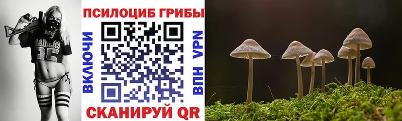 Галлюциногенные грибы ЛСД Усть-Джегута